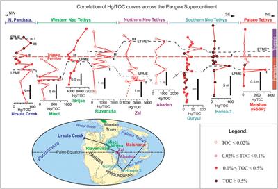 Hg Isotopes and Enhanced Hg Concentration in the Meishan and Guryul Ravine Successions: Proxies for Volcanism Across the Permian-Triassic Boundary